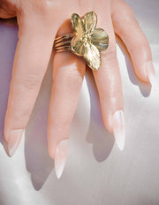 Are-Gold-Plated-Rings-Suitable-for-Daily-Wear Biya Accessoires